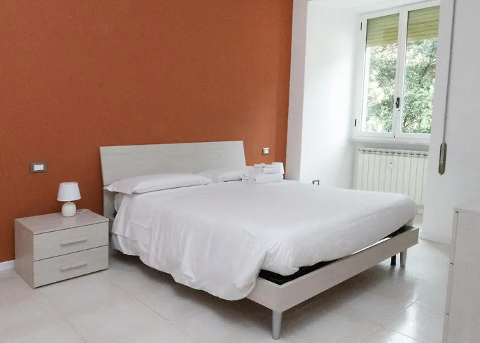 Flaminio New